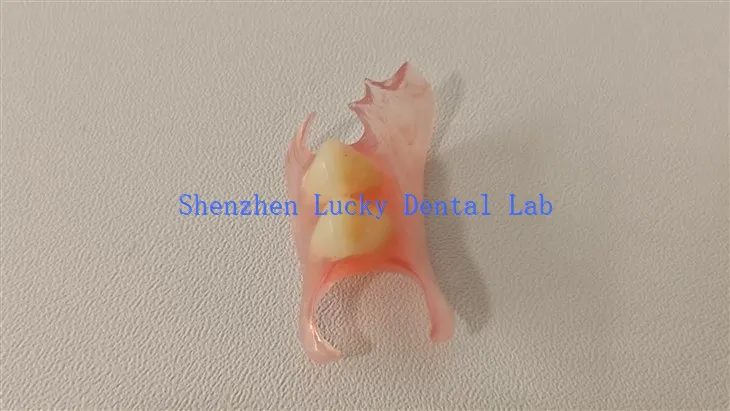 Natural Dental Valplast Producenci Flipper